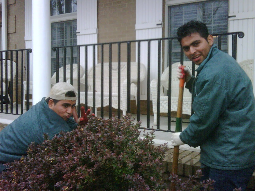 Allentuck landscaping team working behind a bush