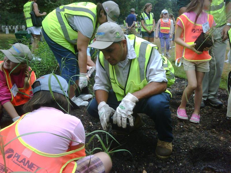 team of volunteers planting new bushes
