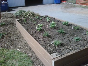 Raised flower bed