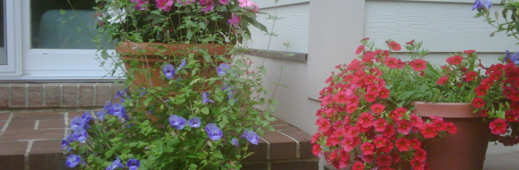 flower pots on a brick patio step