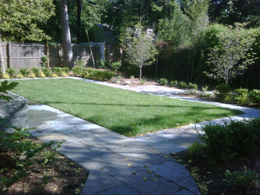 Yard surrounded by bushes and trees