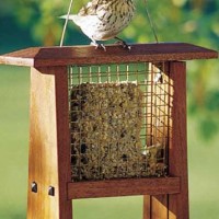 Bird feeder