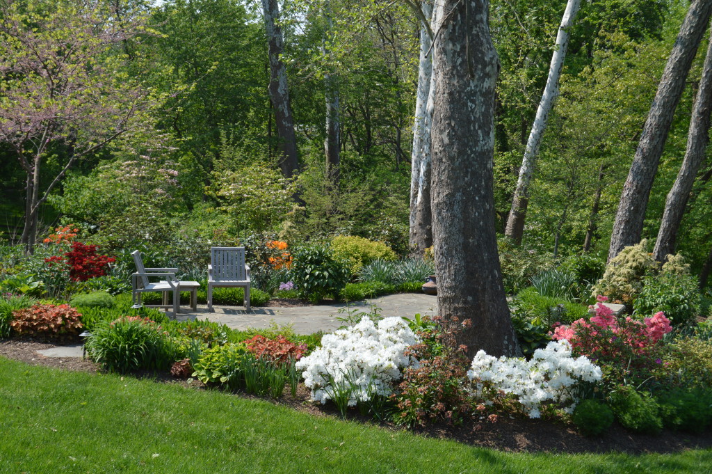 New landscaping installation design by allentuck