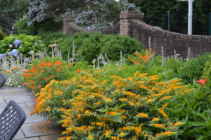 Colorful flowerbed next to stone fence