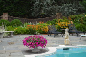 colorful flowerbed near a pool