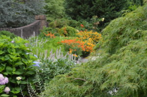 colorful flower garden with tree in foreground