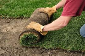 employee laying down Sod