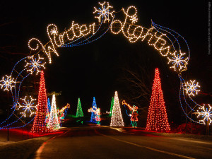 Winter Christmas Light Show in Seneca