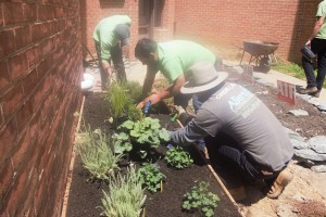 Allentuck landscaping employees planting a new raised flowerbed