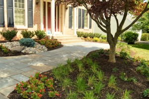 New plants inside a flowerbed in Rosenthal