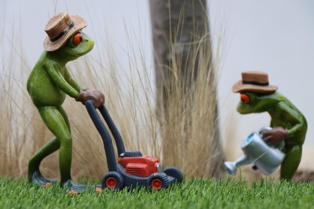 lawn mowing height
