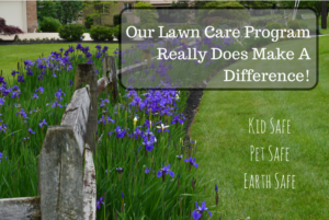 Safe Lawn care graphic showing a wooden fence running through purple flowerbed