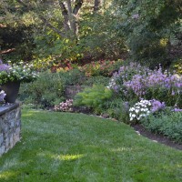 Landscaped yard with flower beds and purple flowers