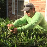 Allentuck landscaping employee pruning a bush