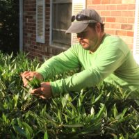 Celbin Pruning plants from allentuck landscaping