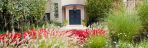 front view of a large home with well manicured landscape design and plants