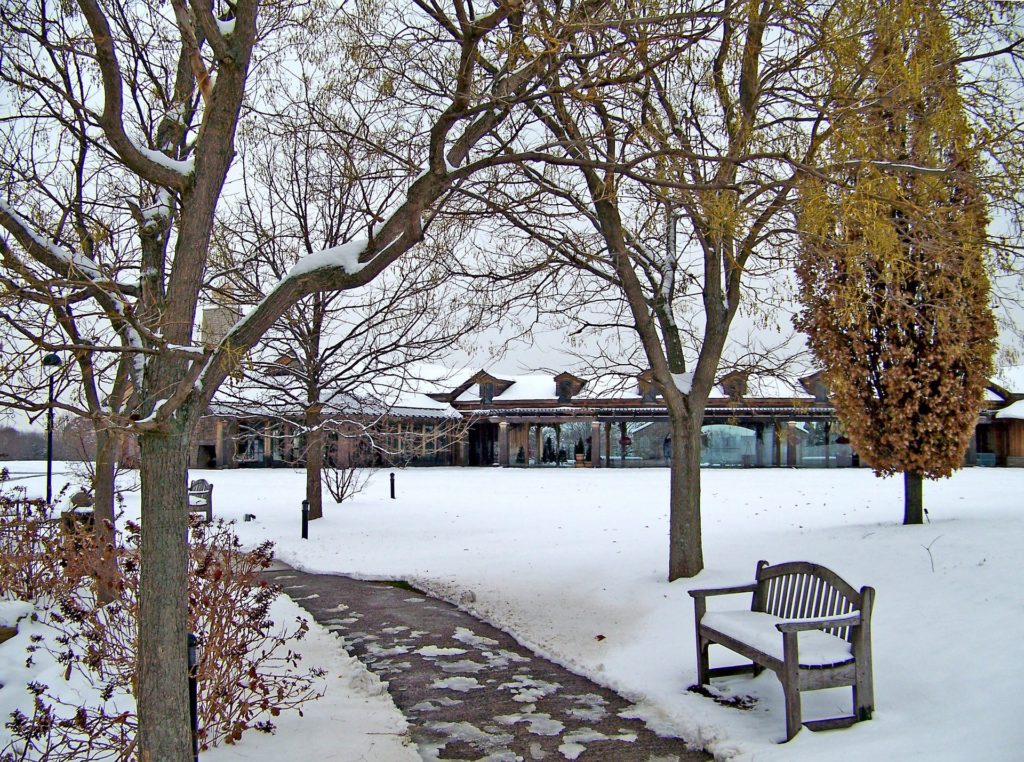 Snow covered sidewalk with trees and a bench