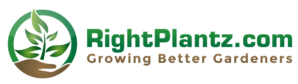 Right Plantz Logo
