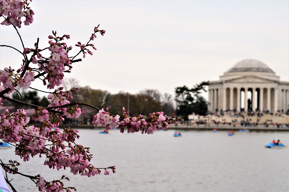 Jefferson memorial
