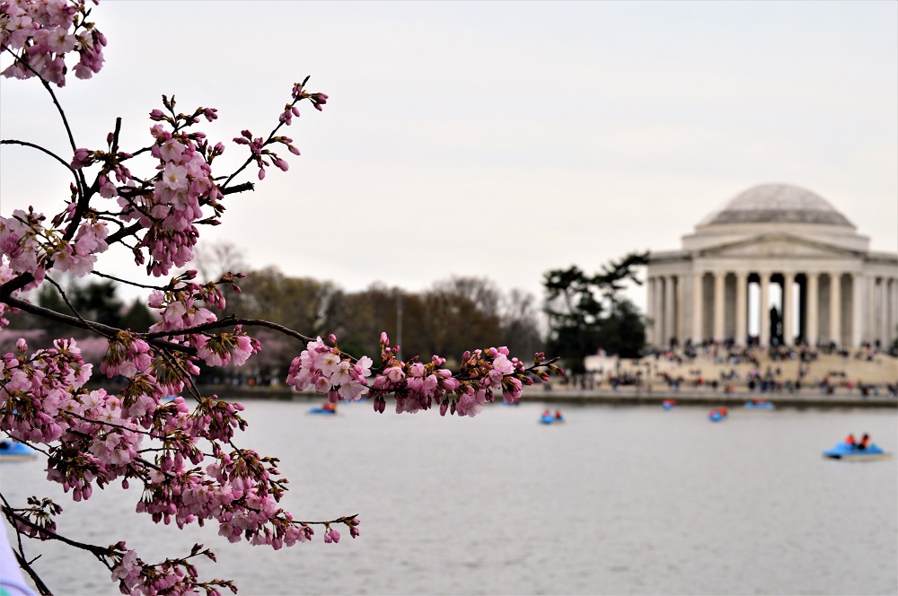 Jefferson memorial