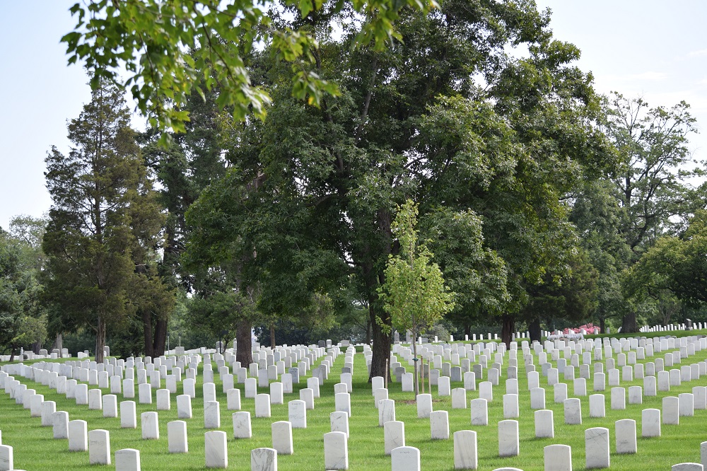 Gravestones at Arlington National Cemetery