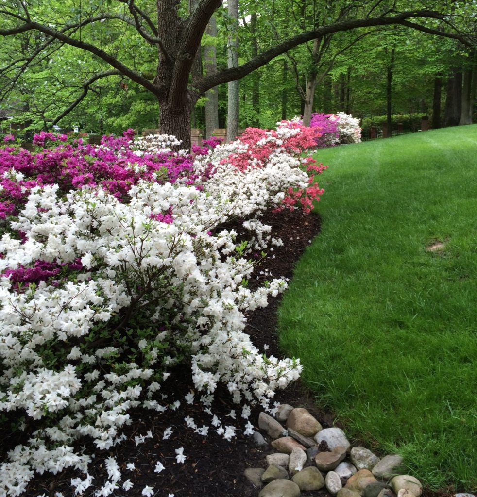 colorful flowerbed built by Allentuck Landscaping