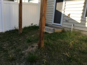 Large grass covered lawn under a rear deck overhang