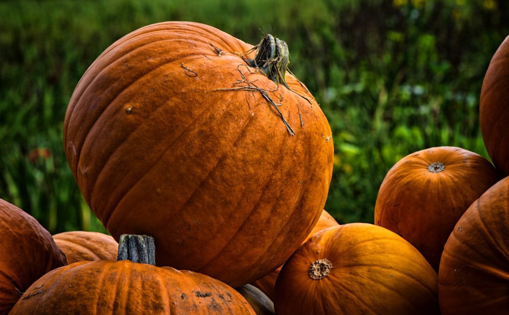 Stack of orange pumpkins