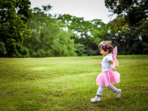 Safe Lawn Care Program