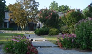 walkways and paths