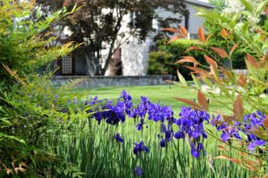 Landscape Maintenance Program 