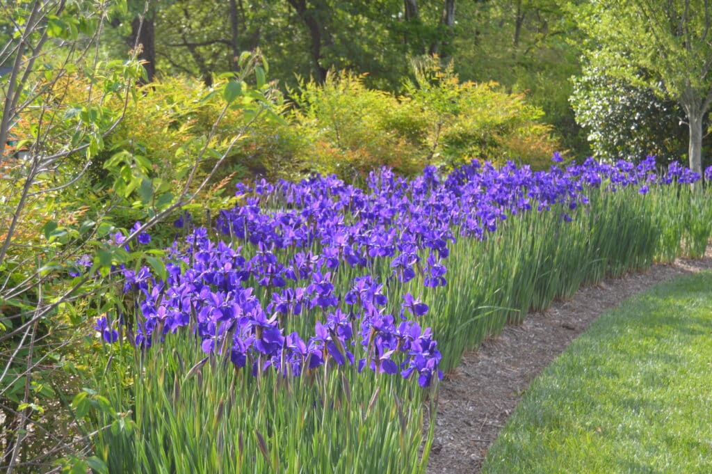 Landscape Maintenance in Potomac, MD