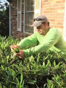 September Gardening Tips