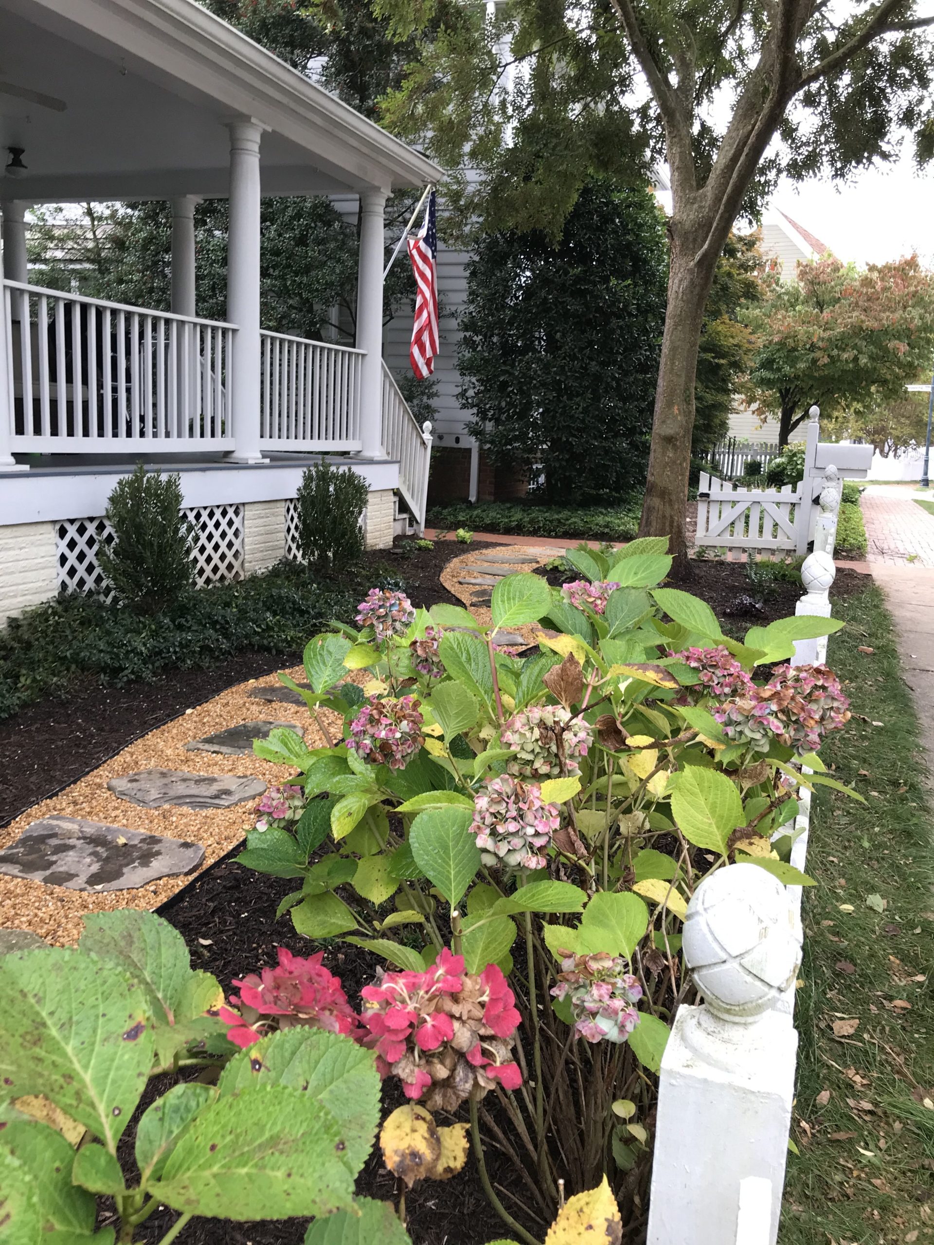 flowerbed filled with colorful flowers