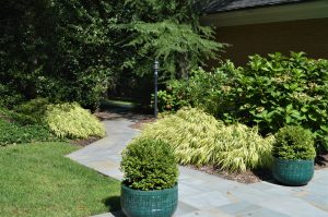 Landscape Projects