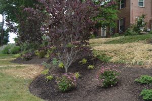 flower bed installation and landscape design in north potomac, MD