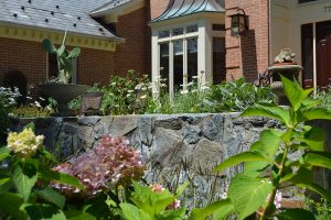 A beautifully landscaped front lawn with lots of pants and flowers.