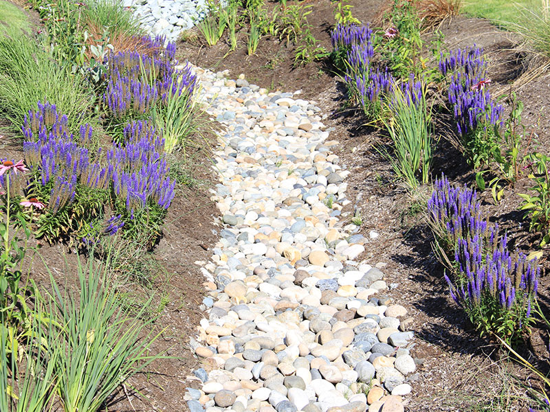 drainage solutions stone bed