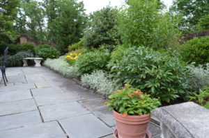 A stone patio surrounded by decorative shrubs.