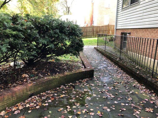 old dirty brick paver pathway before