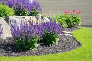 Lush green lawn with flower bed that receives regular landscape maintenance