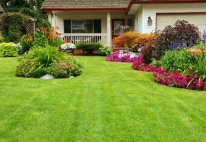Lush green front lawn with custom flower beds meticulously created by landscaping company