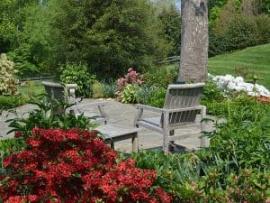 Landscape Planting & maintenance with a large tree in the background