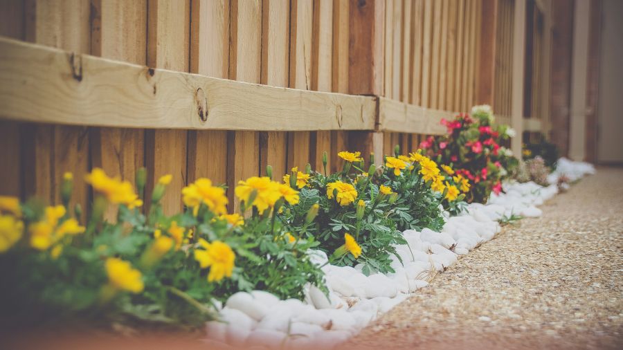 spring flowers blooming after successful seasonal maintenance