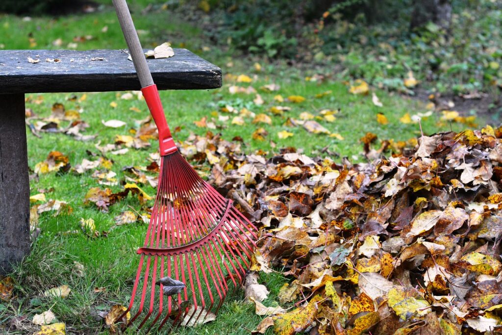 top october garden tips