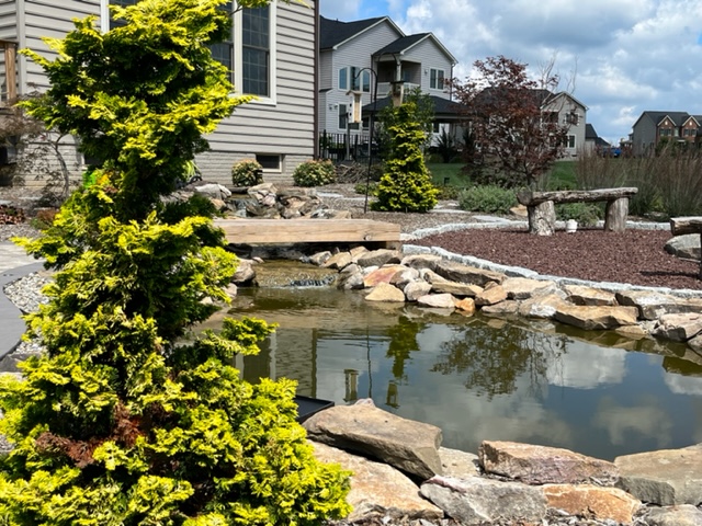 Winter Pond Care