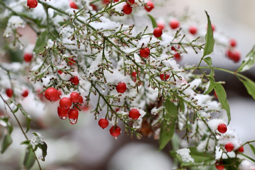 Winter Home Prep Checklist