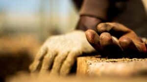 top February garden tips