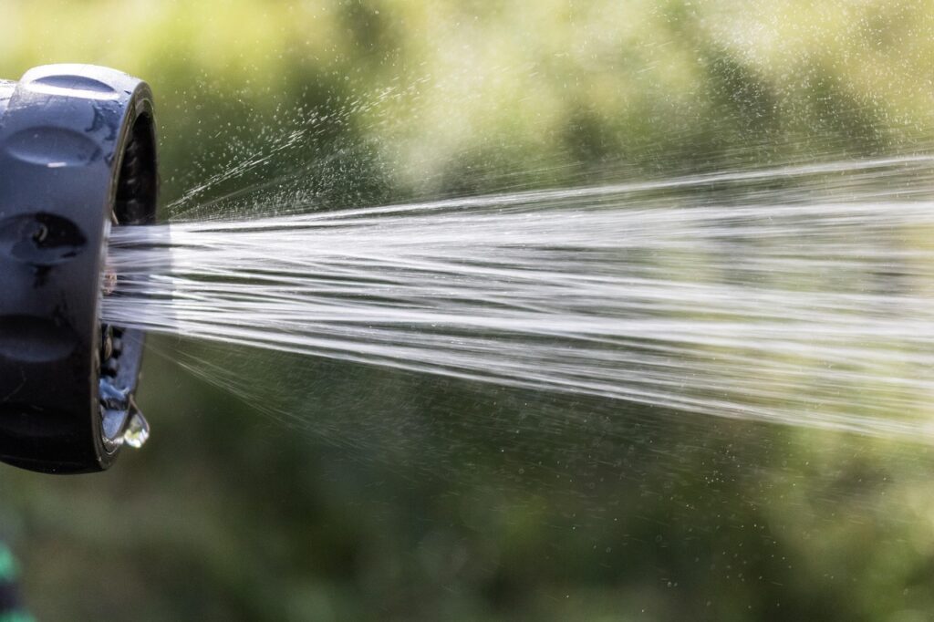 Best Time To Water Plants