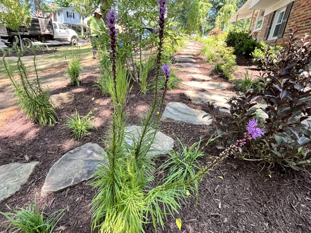 Gardening 3 Year Rule